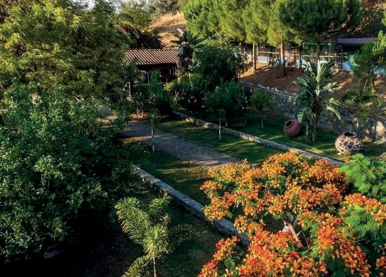 Garden path with palms and flowering trees at the Bird and Animal Park