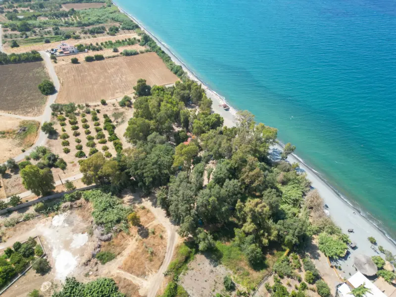 Aerial view of tree groves, orchards and the pebble beach at Kato Pyrgos