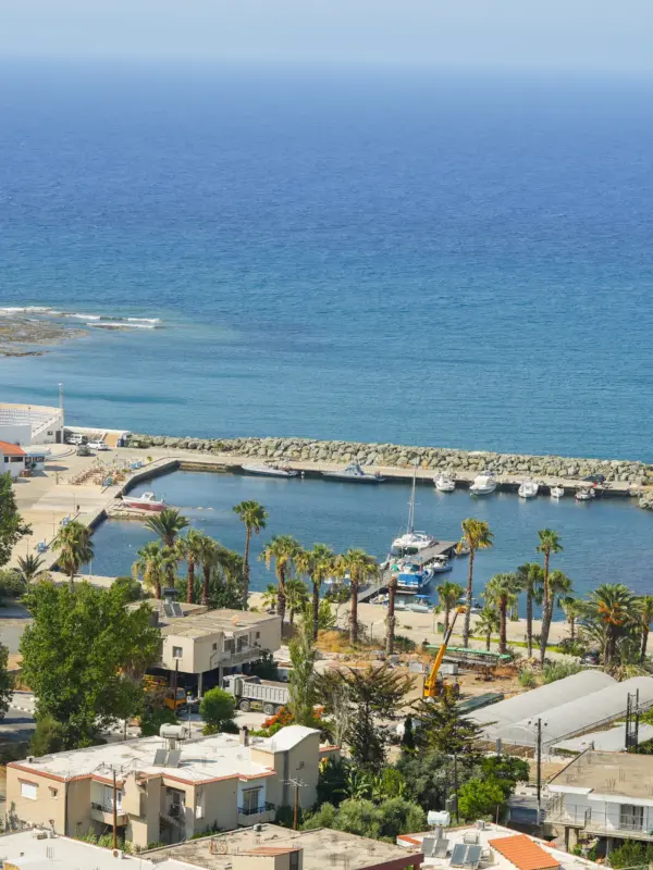 Kato Pyrgos village, harbour and palm trees by the sea