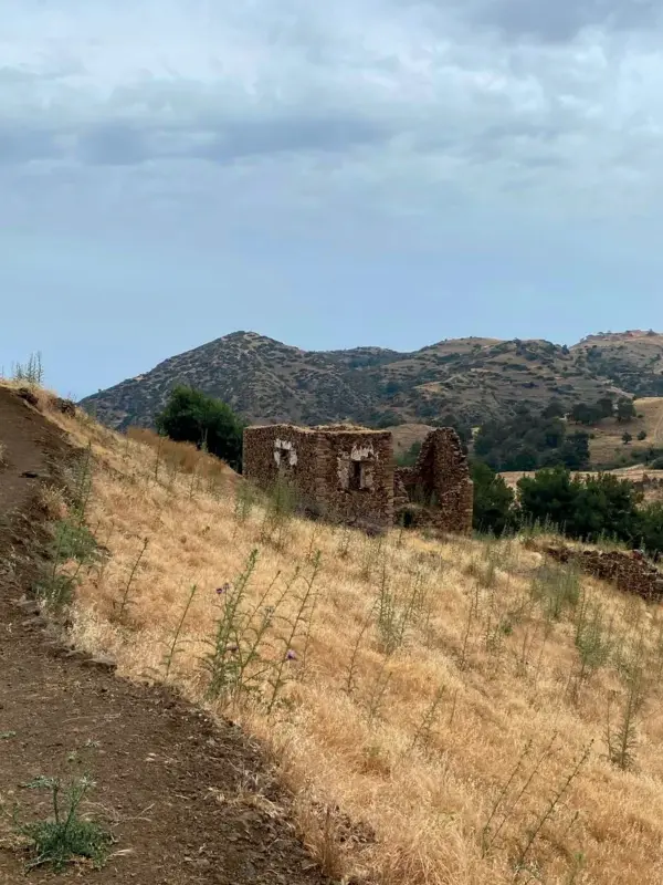 Dirt trail through golden grass on the Agia Tilliria natural path