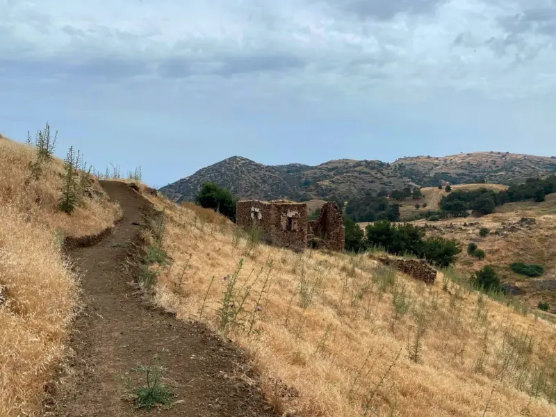 Dirt trail through golden grass on the Agia Tilliria natural path